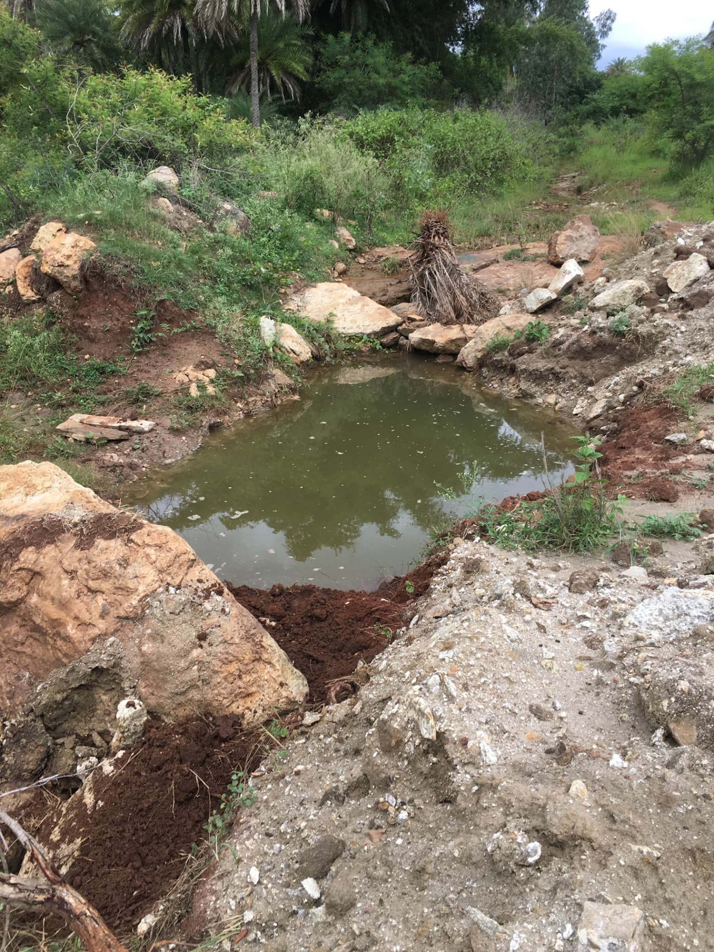 Small rock-lined farm pond holding rainwater
