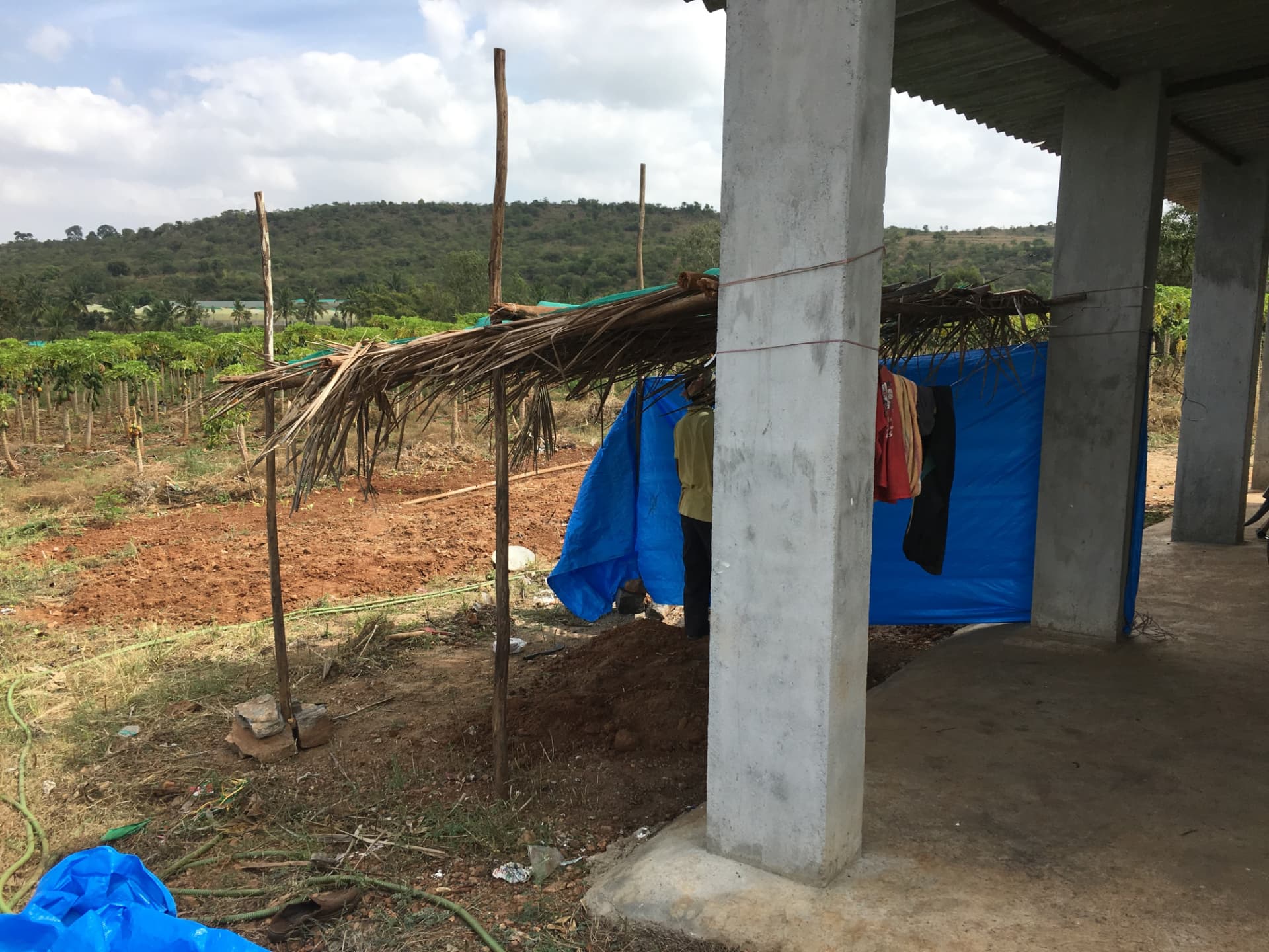 Palm-leaf and tarpaulin shelter tied to the concrete pillars of the shed