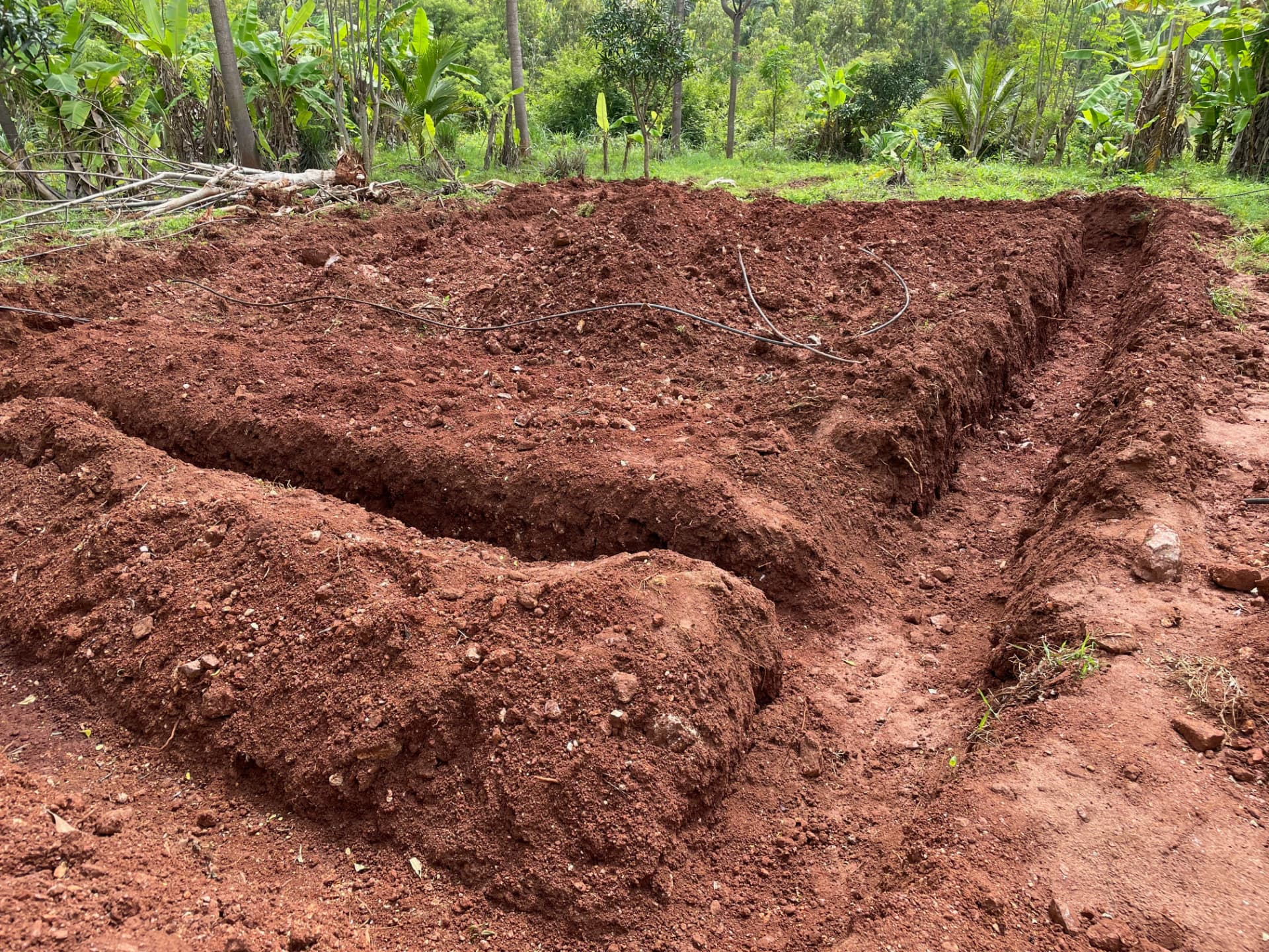 Freshly dug trenches and ridges in red soil ready for planting