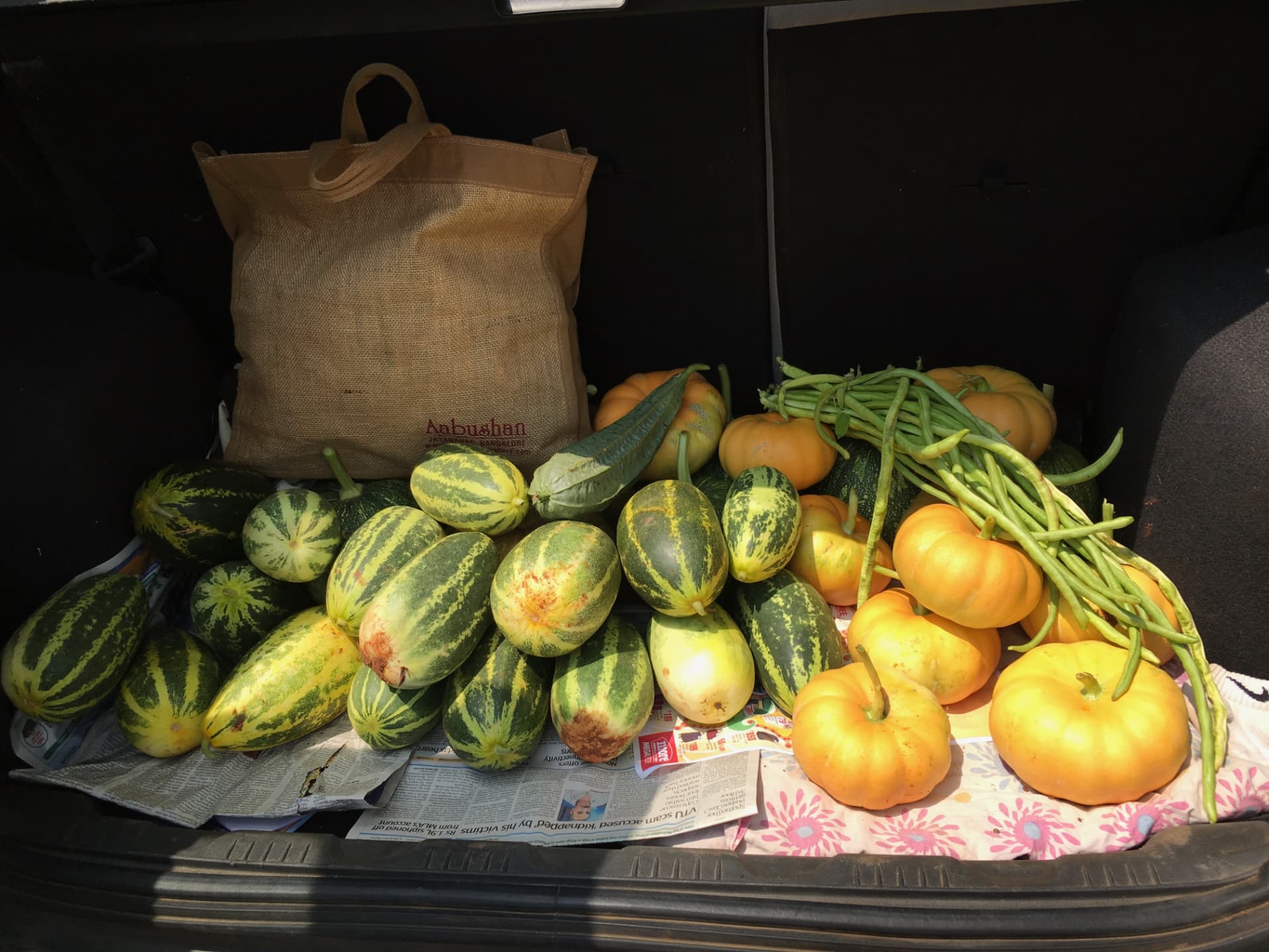 Car boot loaded with pumpkins, cucumbers and long beans from the farm